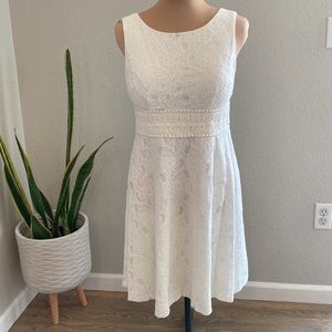 Eliza J white lace dess. Size 10P. New no tags